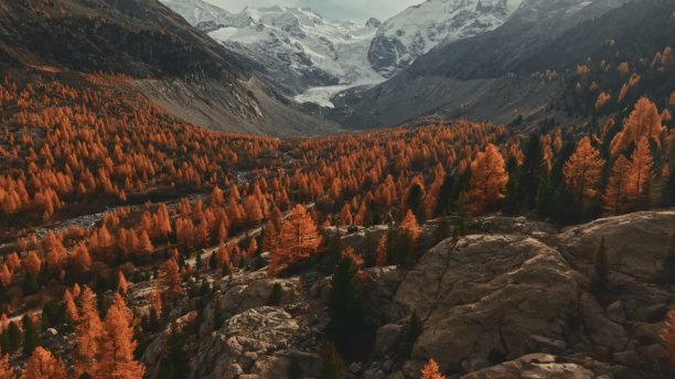 秋天的树木填满了山谷，背景是白雪皑皑的山脉。这张景观照片将被添加到网站的图片管理工具中。图片下载