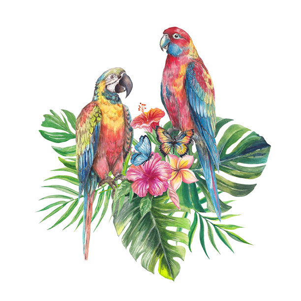 一只色彩斑斓的鹦鹉，周围环绕着热带叶子和鲜艳的花朵的水彩插画。手绘的异国情调构图，非常适合夏季设计、印花、包装和植物项目。图片下载