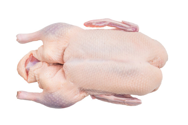 洁白背景下的整只生鸭架，非常适合作为展示新鲜禽肉和烹饪准备的食品素材图。图片下载