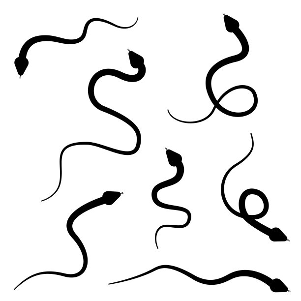 蛇的剪影图标，具有简洁的弯曲形状，象征着危险、野生动物和爬行动物图片下载