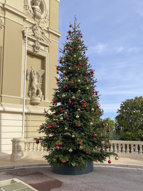 摩纳哥港口和海岸线概览 — 库存照片图片下载