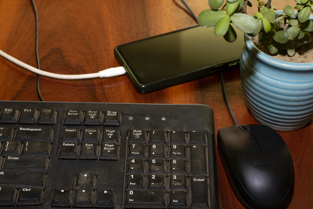 简约的家庭办公空间，配有电脑配件、手机充电和室内植物图片下载