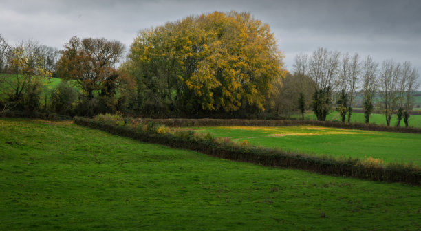 秋季风景的近期本地图片图片下载
