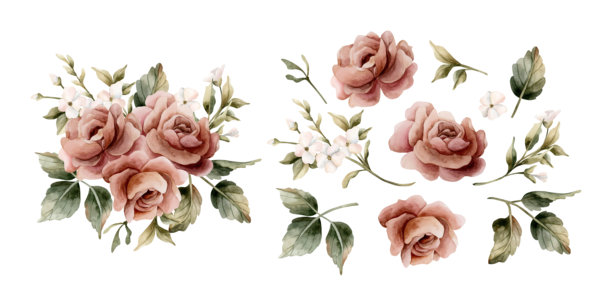 带花苞和叶子的玫瑰。灰粉色花园花卉组合。水彩手绘花卉孤立插画图片下载