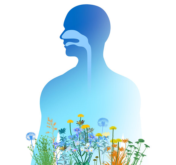 3D插画，展示上呼吸道（耳鼻喉）系统。图片下载