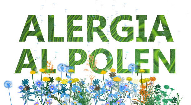 3D插画：西班牙语的“花粉过敏”文字图片下载