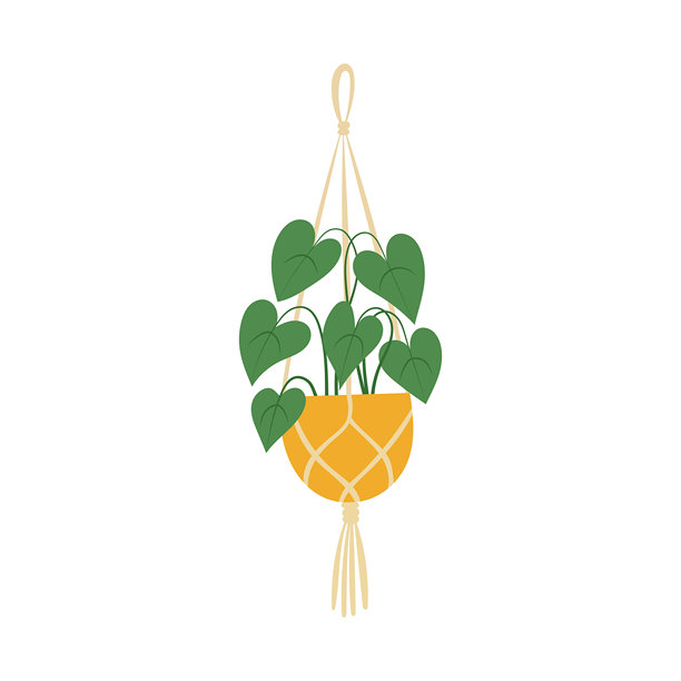 室内装饰、室内设计和波西米亚风格的现代室内园艺创意，适用于公寓和客厅的盆栽绿植挂绳植物。矢量插画图片下载