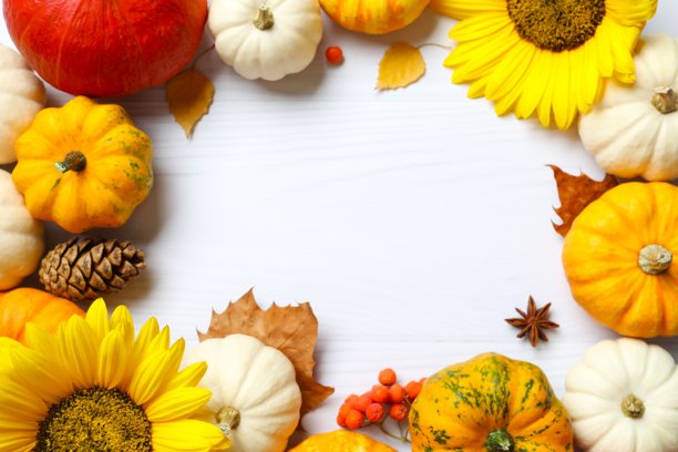 这张俯视照片展现了秋季丰收的美丽。撕裂的南瓜和典型的秋季物品，背景为白色隔离，留有文字或促销空间图片下载