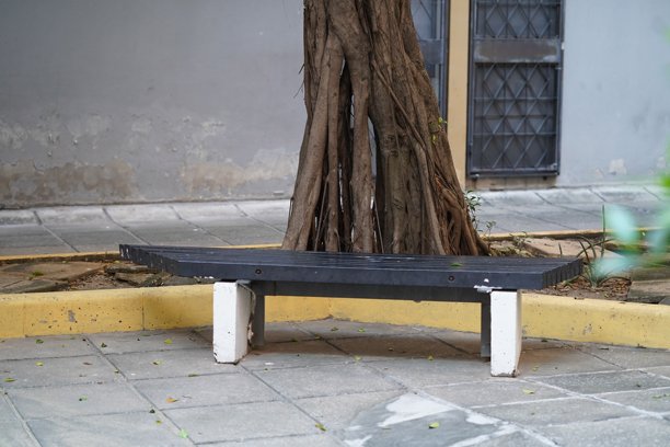 城市环境中独特的黑色长椅，四周环绕着树木，非常适合公园、花园和户外空间图片下载