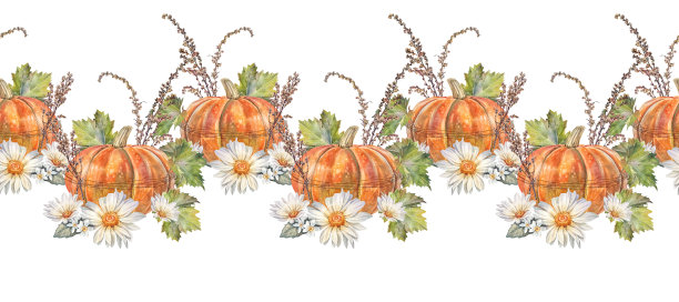 水彩秋季无缝边框，白底南瓜和洋甘菊。手绘盛开的菊花或雏菊用于贺卡。带有蔬菜的边缘用于邀请函。壁纸或包装纸图片下载