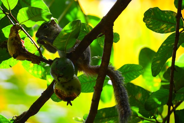 我在花园里随手拍的一些照片.....图片下载
