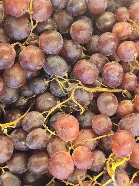 高质量的热带水果图片图片下载