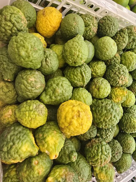 高质量热带水果图片图片下载