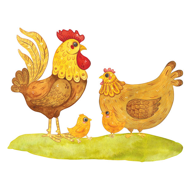 母鸡、小鸡和公鸡的组合。手绘水彩插画，卡通风格。农场，动物，家禽，村庄，家禽养殖场，儿童，鸟类，喙，花朵，绿色，牲畜，乡村图片下载