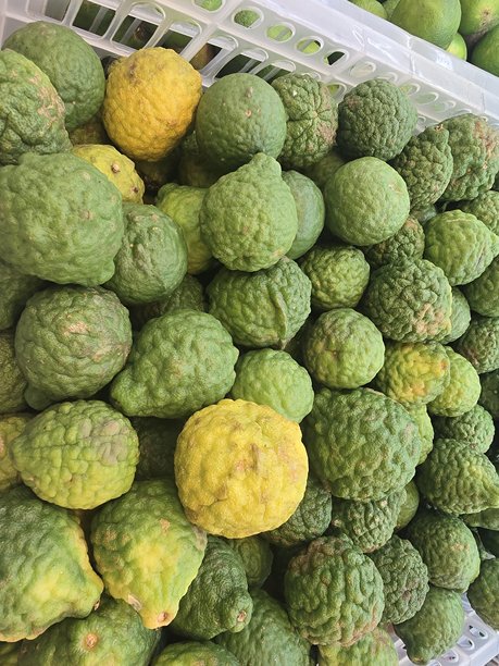 高品质热带水果图片图片下载