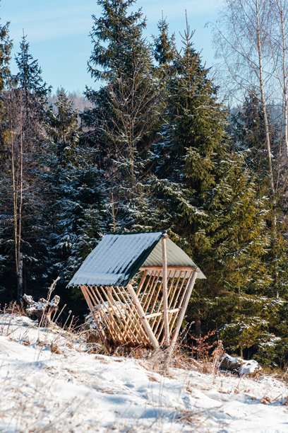 冬季雪景中，常绿树林间的干草饲喂器，用于素材照片图片下载