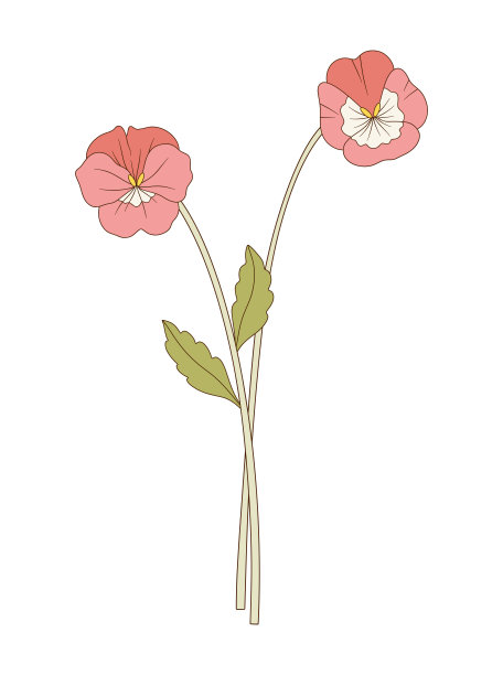 明亮野花花束，手绘矢量插画图片下载