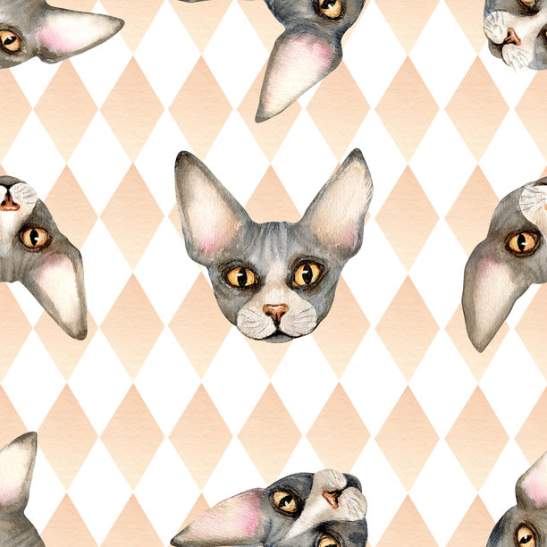 斯芬克斯猫头像，菱形无缝图案。斯芬克斯小猫，光皮小猫，可爱的家养宠物。重复装饰，孤立背景。用于包装、动物纺织品的写实水彩插画图片下载
