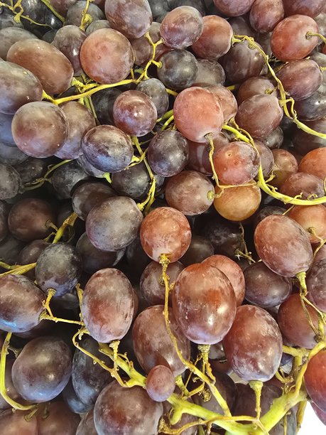 高质量的热带水果图片图片下载