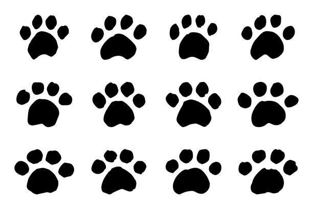 一套手绘可爱猫爪、猫、狗、动物脚印的涂鸦风格插画，可用于印刷、网页、设计、装饰、贺卡、儿童印花等单元素设计图片下载