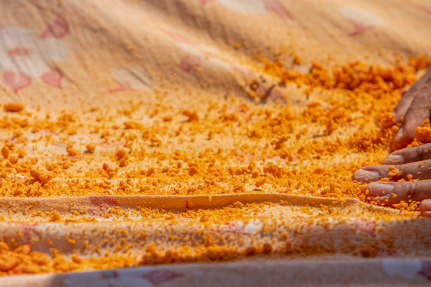 白天拍摄的“塔尔哈纳”准备照片，这是真实乡村生活中最重要的传统冬季食物准备。图片下载