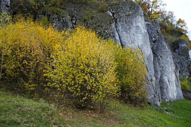 这张照片展示了一座岩石石灰岩山体，它从山坡上耸起。图片下载