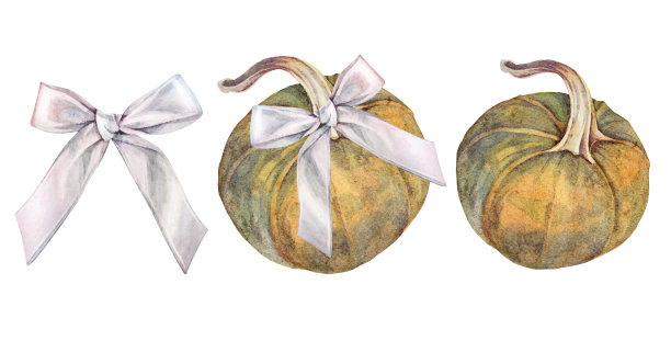 水彩南瓜套装，带有橙色、绿色南瓜和丝带蝴蝶结，孤立在白色背景上。秋季蔬菜生食，适用于贴纸或万圣节贺卡。厨房插画。壁纸、包装纸或纺织品。图片下载