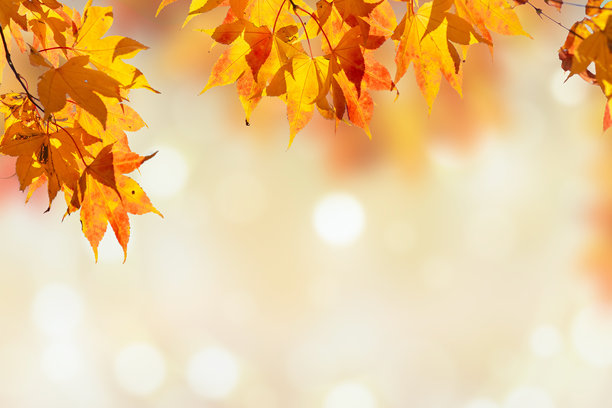 紫色背景上的多彩抽象烟花插画图片下载