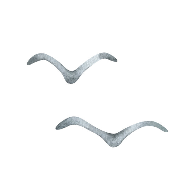 两只海鸥的水彩插画。灰色迁徙鸟剪影飞翔的手绘剪贴画。用于织物、卡片、航海设计的装饰性图形元素图片下载