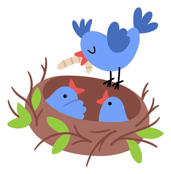 矢量蓝鸟嘴里叼着温暖的食物喂养巢中的雏鸟。农场或复活节村庄插画，孤立在白色背景上。可爱的春季动物剪贴画，适合儿童。图片下载