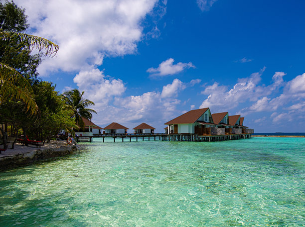 马尔代夫度假村海滩上，水上小屋被棕榈树环绕，温馨舒适图片下载