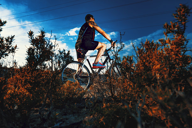 山地自行车。运动与健康生活图片下载