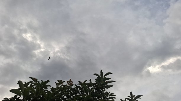 带有云彩的天空照片，适合用作背景和其他设计。图片下载