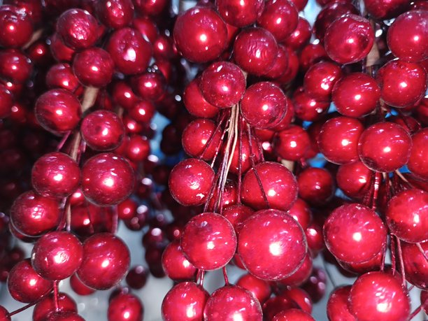 圣诞红冬青浆果枝装饰横幅壁纸照片印刷背景。圣诞节装饰。新年贺卡模板。图片下载