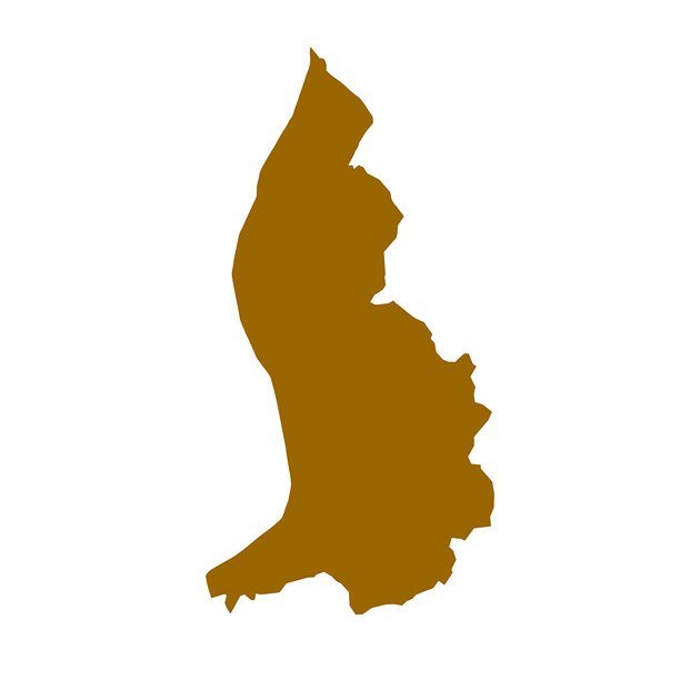 列支敦士登地图，标志剪影。世界地图地球仪。矢量插画，孤立在白色背景上。欧洲大陆图片下载