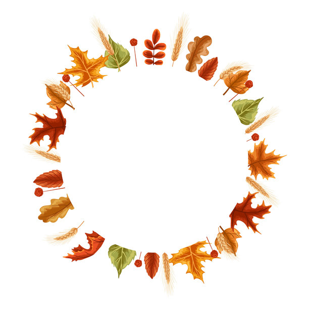 圆形的秋季边框，带有五彩的树叶、麦穗、干花，背景为白色。矢量手绘插画，适用于感恩节卡片、包装、海报、设计，并留有复制空间。图片下载