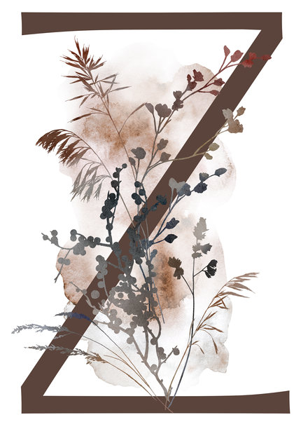 字母Z，搭配水彩风格的秋叶与大地色系的草，适用于冬季婚礼插画图片下载