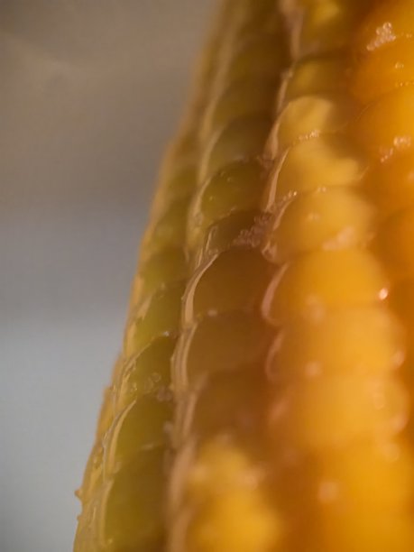 烤箱中烹饪的玉米，玉米的微距摄影，煮玉米的美丽照片，食物准备，烤箱中的蔬菜，美味的蔬菜，蔬菜的美丽照片，蔬菜的质地图片下载