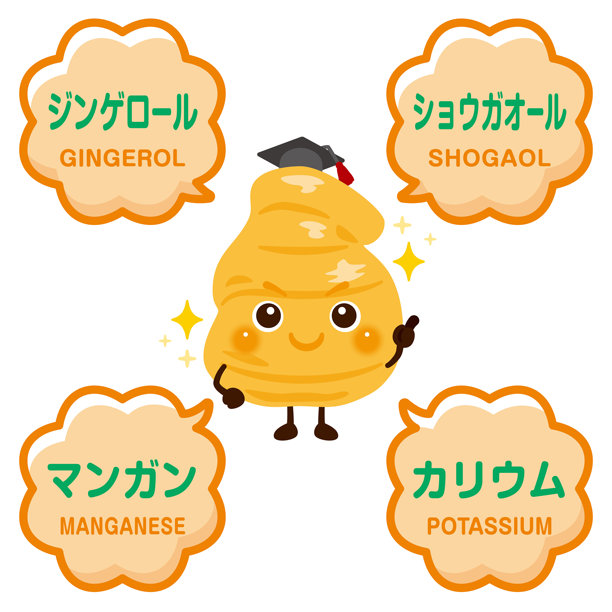 可爱的姜黄色卡通人物插画，带有营养成分图片下载