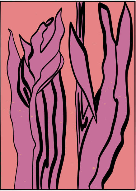 花卉极简海报。手绘线条花卉和带叶子的树枝。草本和野花植物，鸢尾花或百合花的现代墙壁艺术构图，花卉装饰，粉色。矢量植物插画图片下载