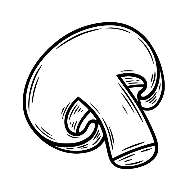 手绘蘑菇，单色雕刻，线条艺术风格矢量插画图片下载