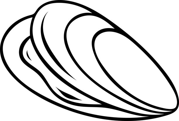 手绘黑白牡蛎图标，素描风格的海洋生物插画。适用于海洋主题和海鲜餐厅概念的简单涂鸦。图片下载