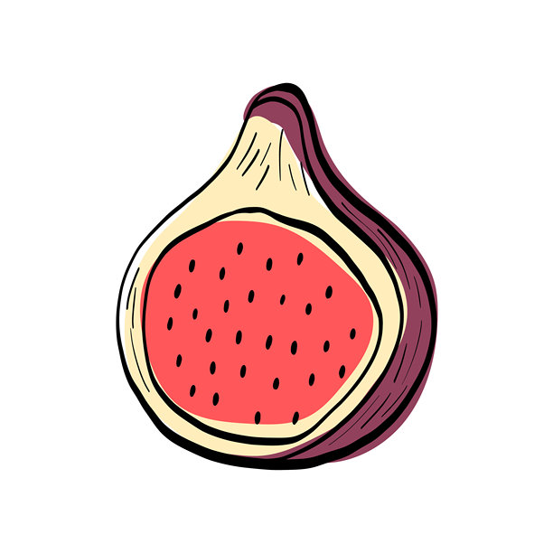 简约的无花果插画，线条简洁，地中海风格。非常适合美食品牌、健康食谱版式、有机产品标签、甜点设计和天然食材视觉。图片下载