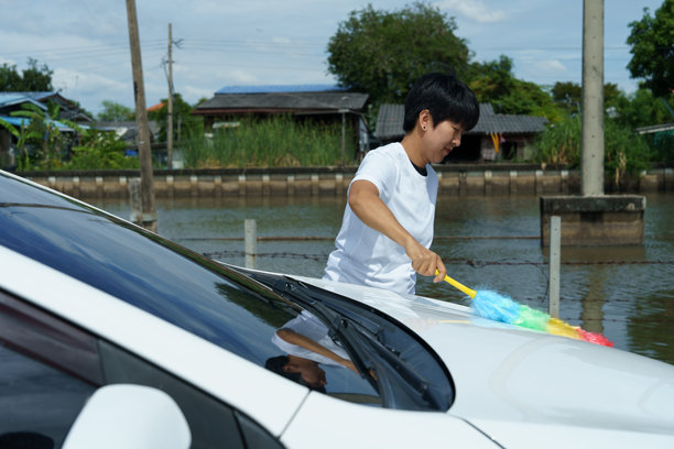 度假时清洁汽车的女子（照片）图片下载