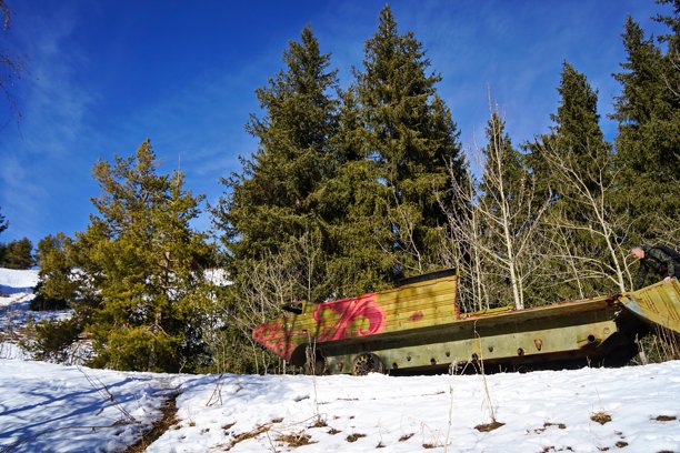 山地，植被多样。位于伊列-阿拉套国家自然公园。图片下载