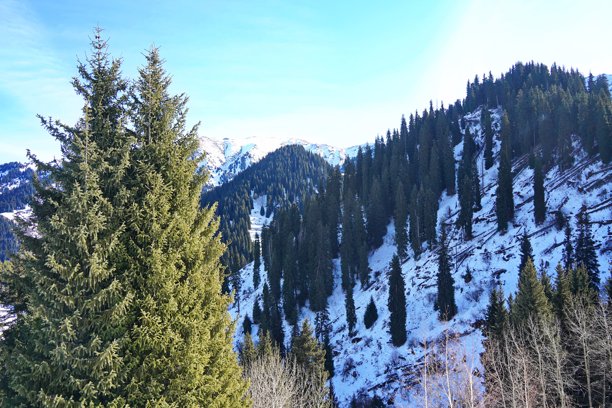 山地，植被多样。位于伊列-阿拉套国家自然公园。图片下载