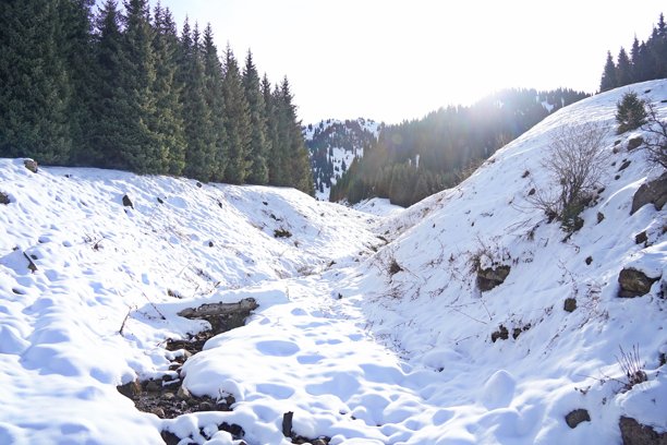 山地，植被各异。伊列-阿拉套国家自然公园。图片下载