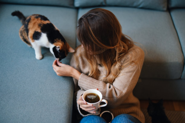 女人和她的猫一起放松，享受热饮——素材照片图片下载