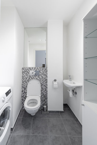 现代白色浴室，配有马桶、水槽和洗衣机图片下载