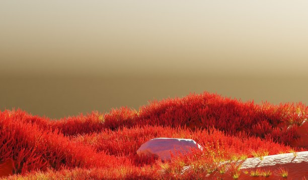 带有草地的石头，用于展示产品，3D插画图片下载